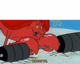 Observe