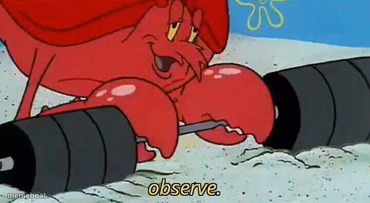 Observe - meme generator image preview