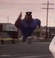 Officer aerl