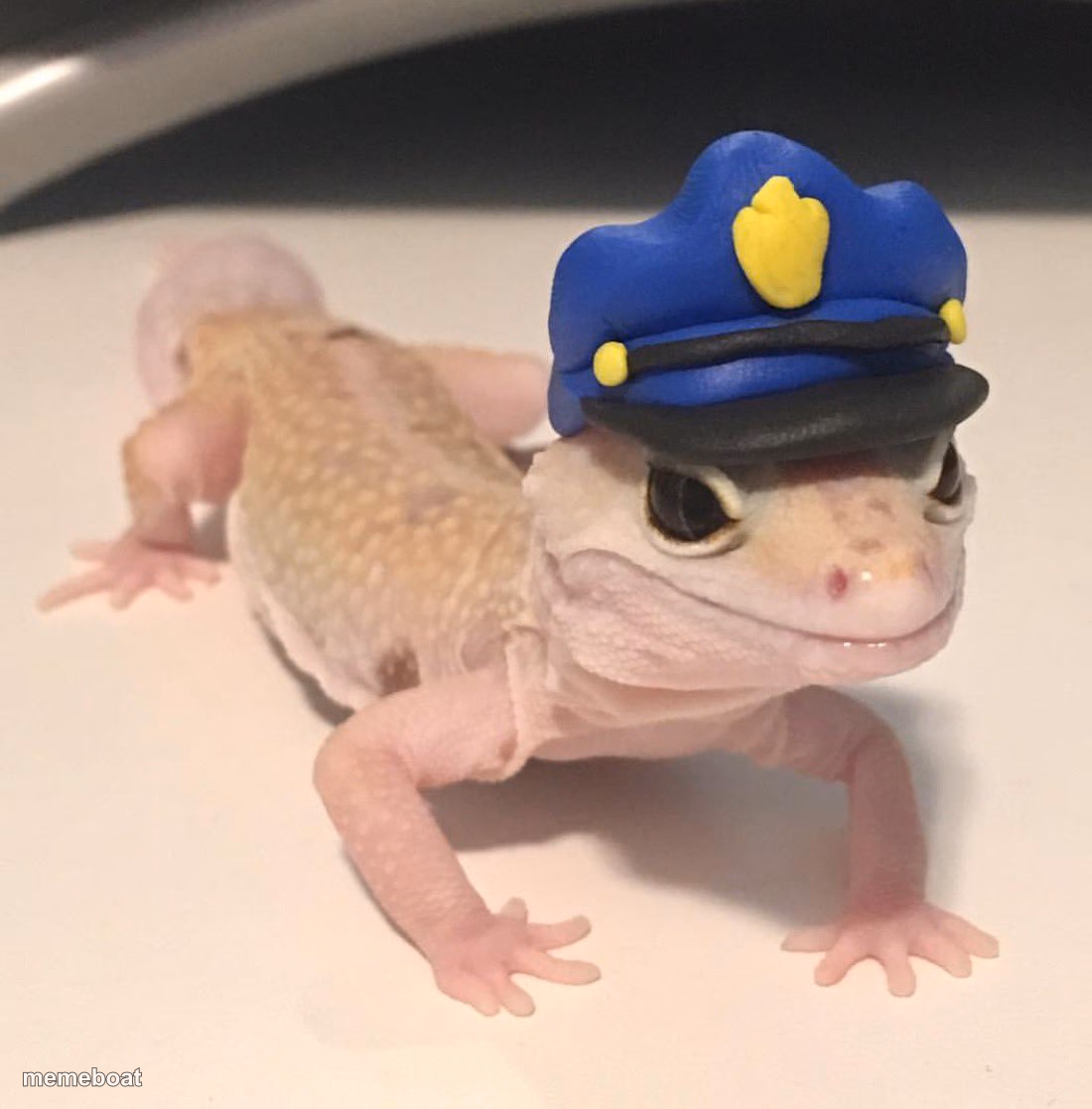 Officer Geck - meme generator image preview