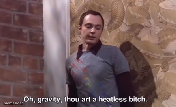 Oh, gravity, thou art a heartless bitch - meme generator image preview