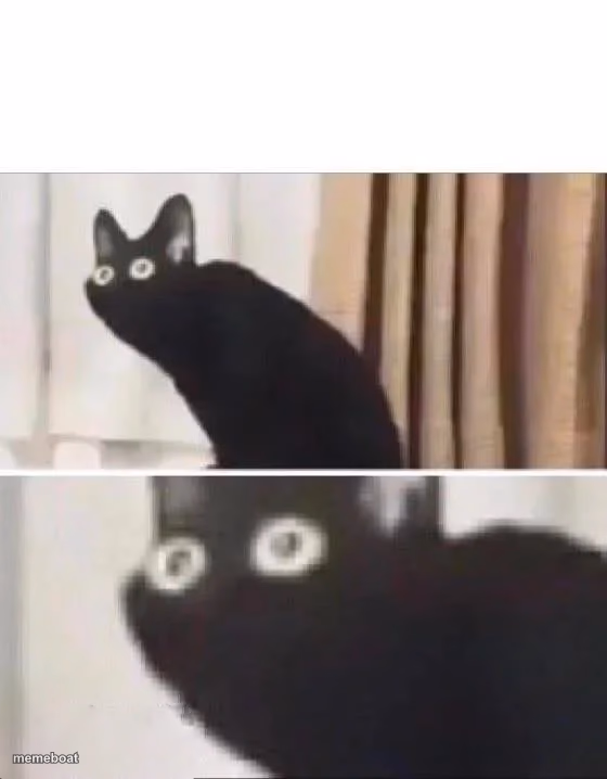 Oh No Black Cat - meme generator image preview
