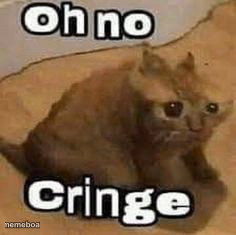 oH nO cRInGe - meme generator image preview