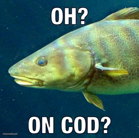 oh? on cod? - meme generator image preview