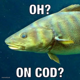 oh? on cod?