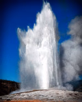 Old faithful
