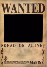 One piece wanted poster template