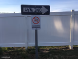 One way to idiocy