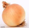 Onion