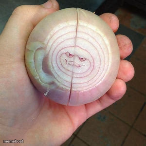 Onion Face - meme generator image preview