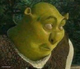 Oops shrek