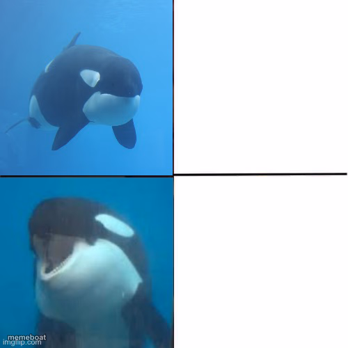 Orca Yes No - meme generator image preview