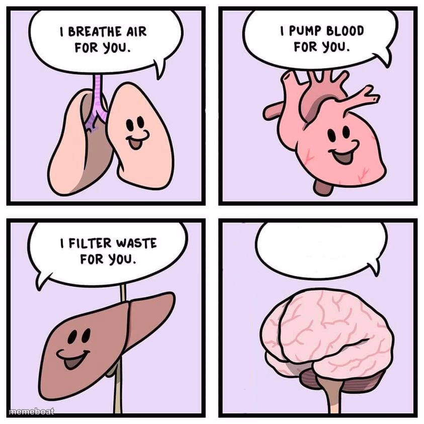 organs and brain - meme generator image preview