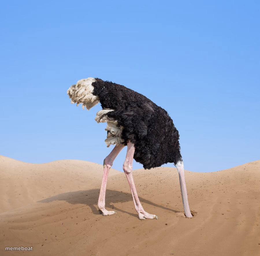 Ostrich - meme generator image preview