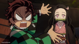 Our Nezuko