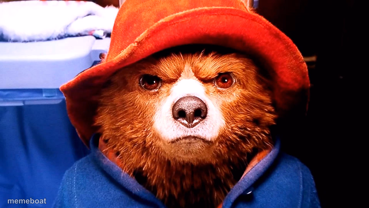 Paddington hard stare - meme generator image preview
