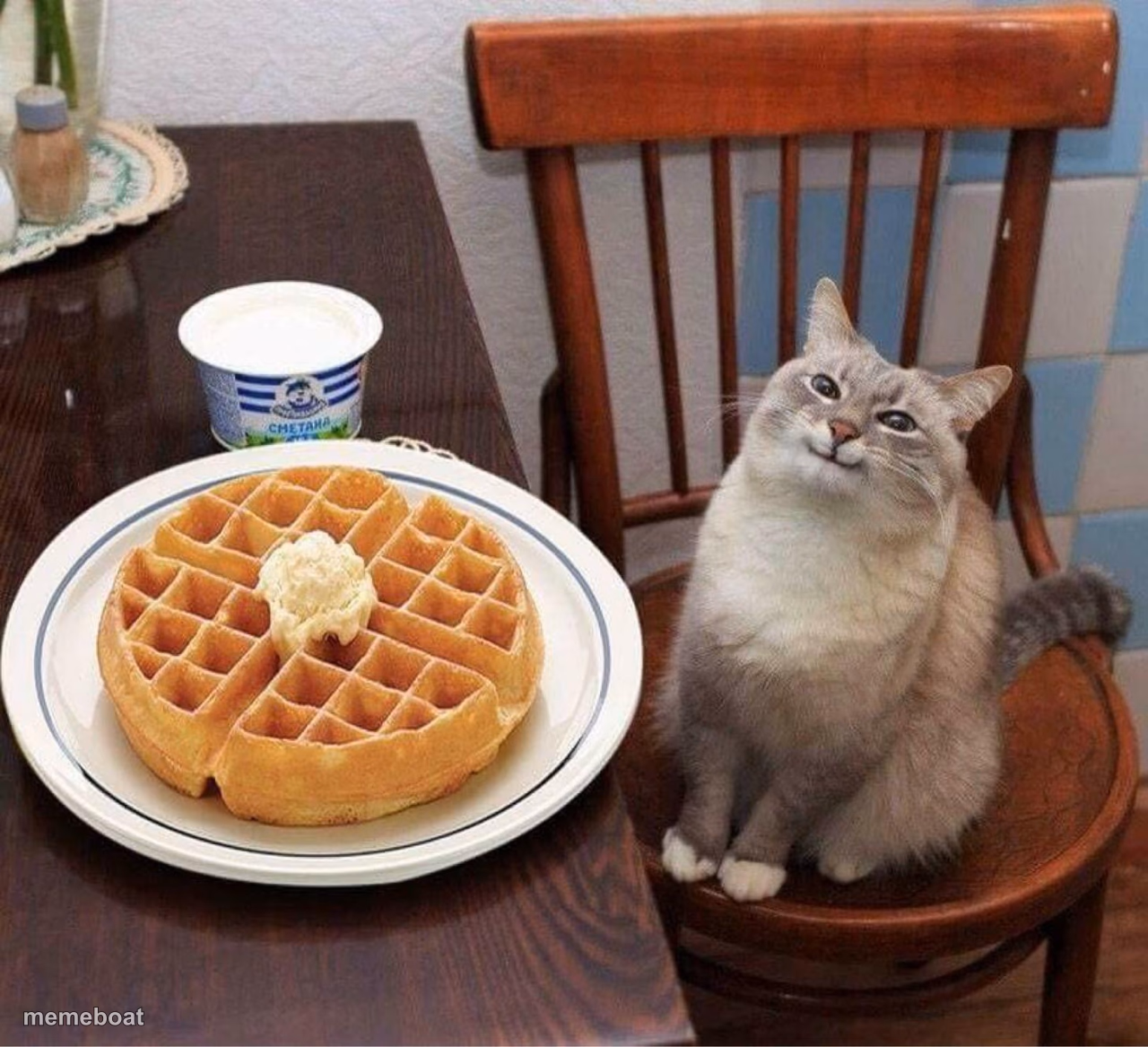 Pancake Cat - meme generator image preview
