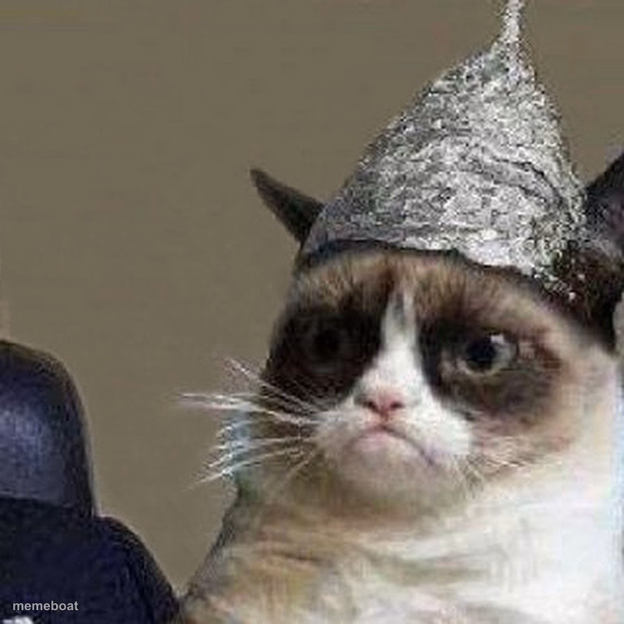 Paranoid Grumpy Cat HD - meme generator image preview