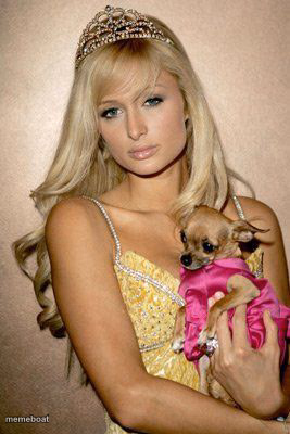 Paris Hilton - meme generator image preview