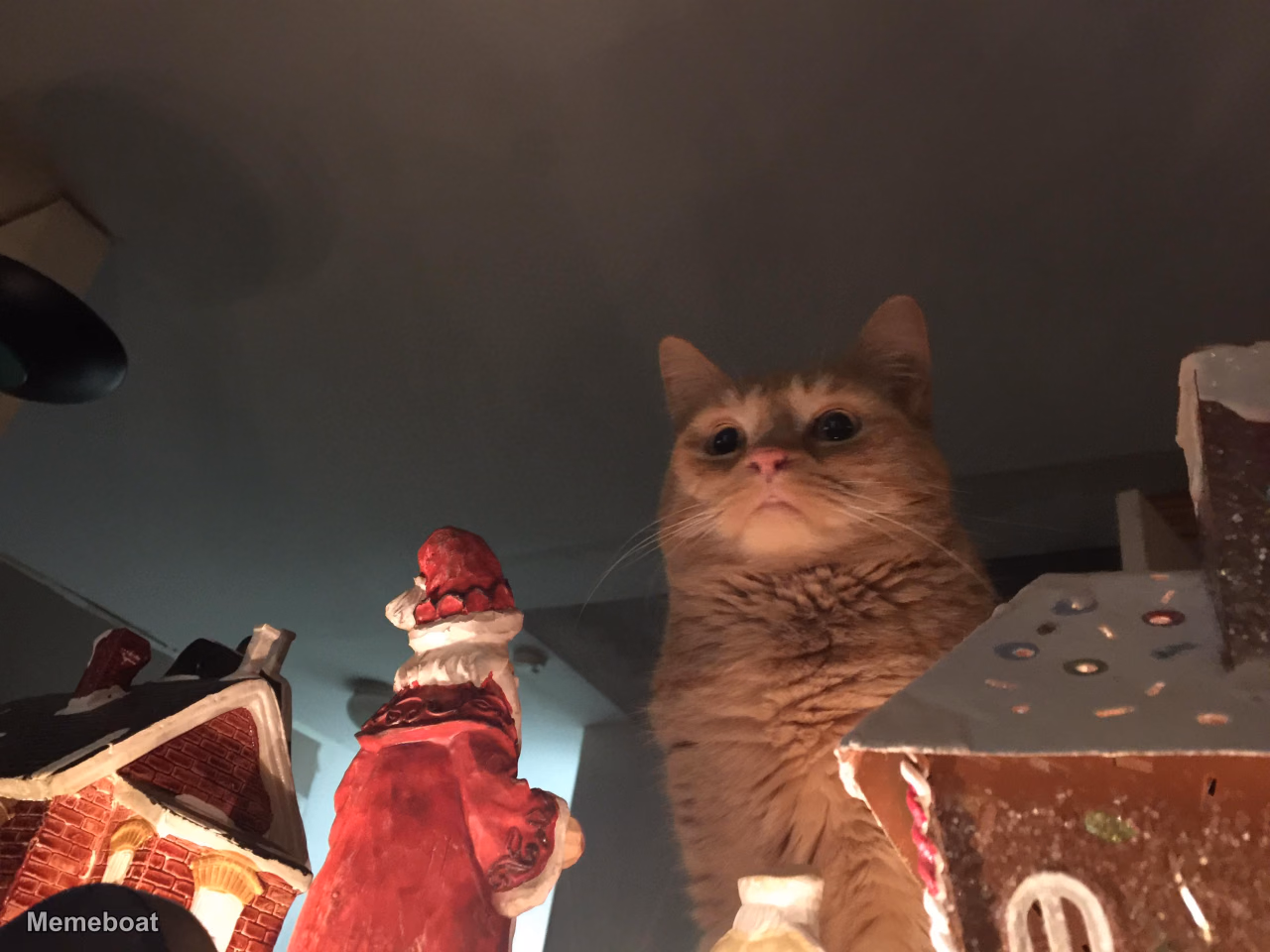 Pathetic Cat - meme generator image preview