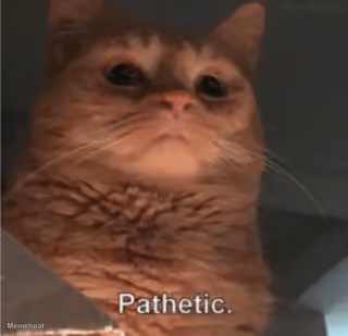 Pathetic Cat