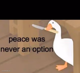 Peace was never an option