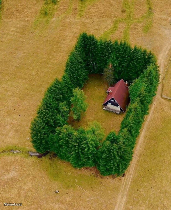 Peaceful House Surrounded by Trees - meme generator image preview