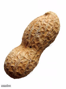 Peanut - meme generator image preview