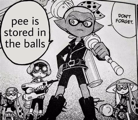Pee is stored in the balls - meme generator image preview