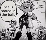 Pee is stored in the balls