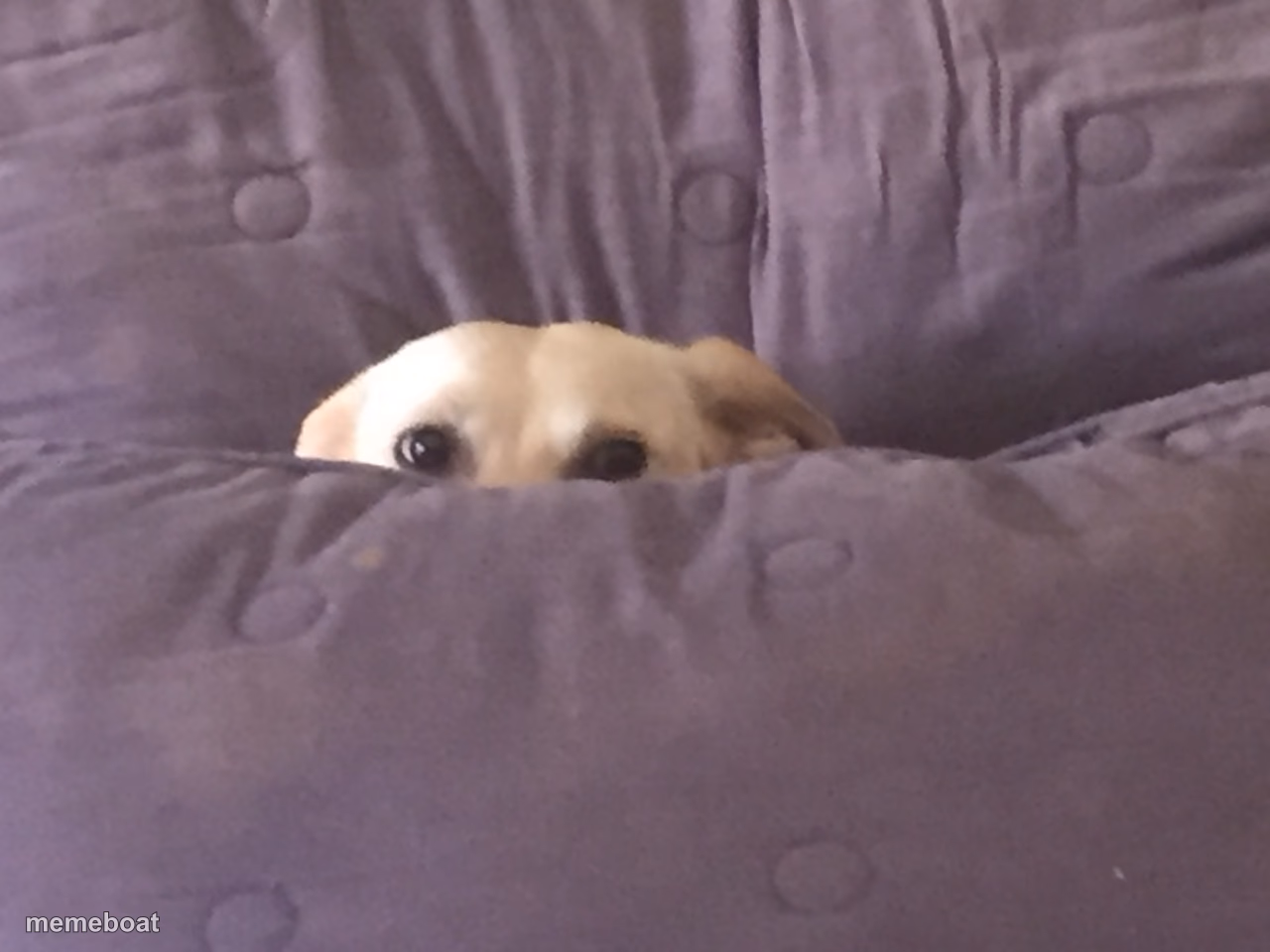 Peek a boo! - meme generator image preview