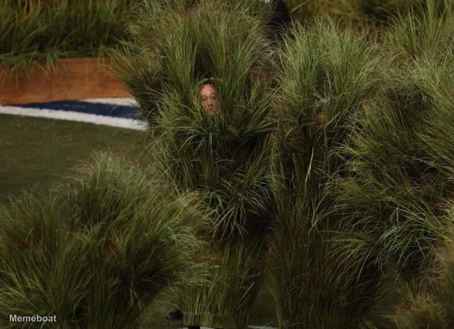 Peeking from the Bush Super Bowl Halftime Show - meme generator image preview