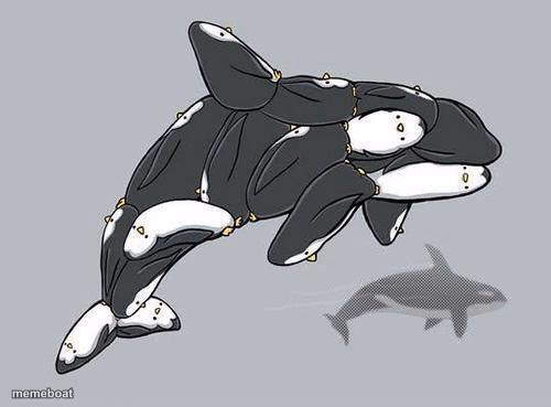 Penguin Orca - meme generator image preview