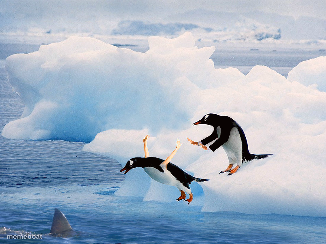 Penguin Pusher - meme generator image preview
