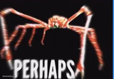 perhaps crab