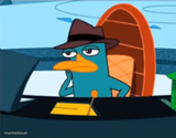 Perry the Platypus - Just No