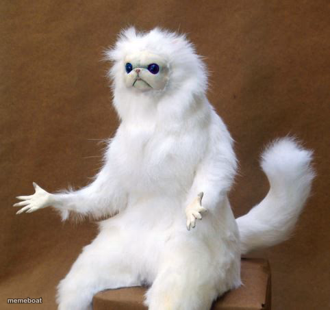 Persian white monkey - meme generator image preview