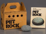 Pet rock