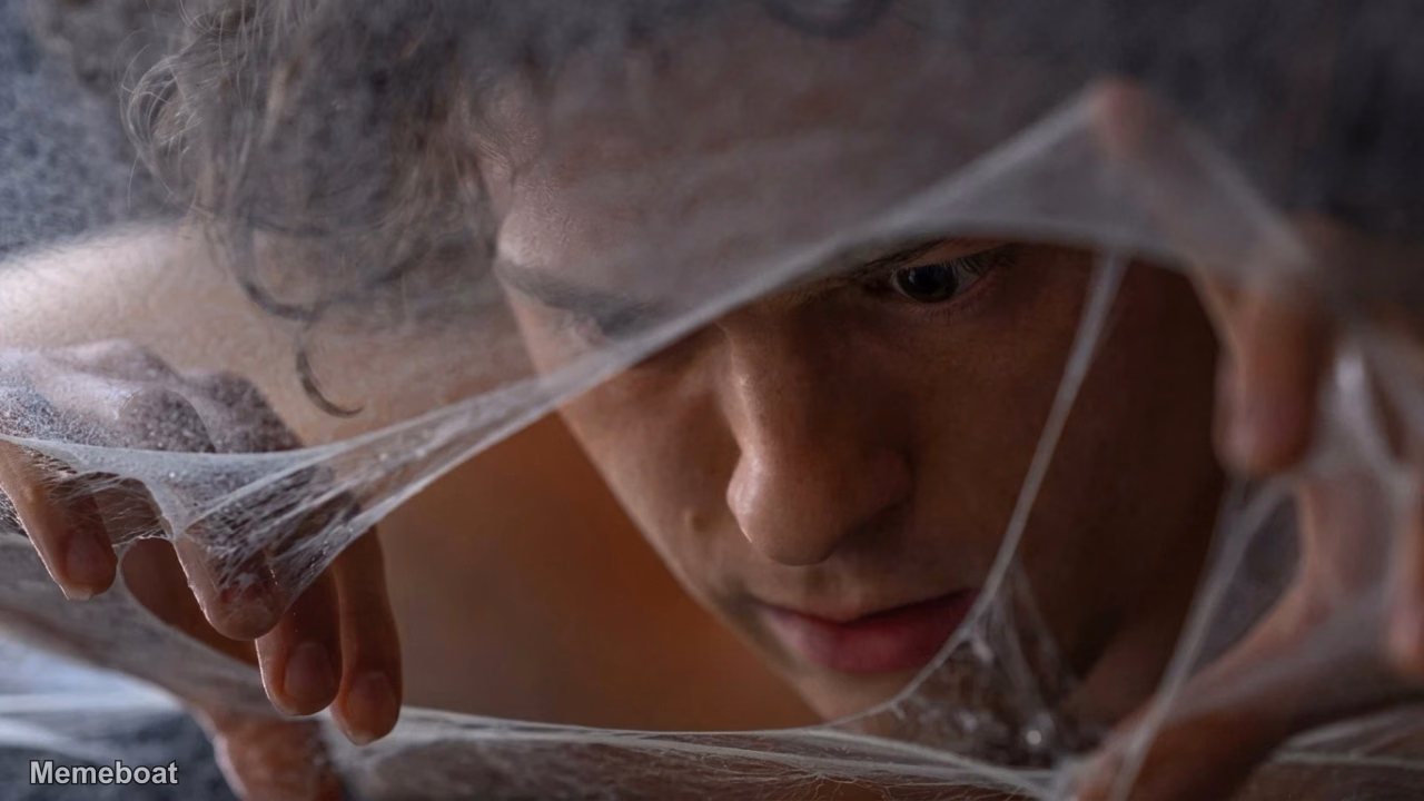 Peter Parker Inspecting a Web Cocoon - 'Spider-man: Brand New' - meme generator image preview