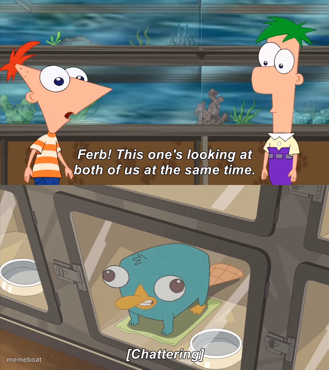 phineas and ferb - meme generator image preview