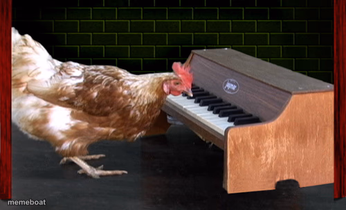 Piano Playing Chicken - meme generator image preview
