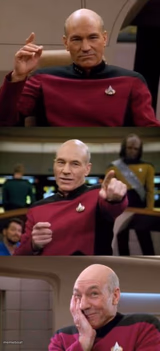 Picard Pun