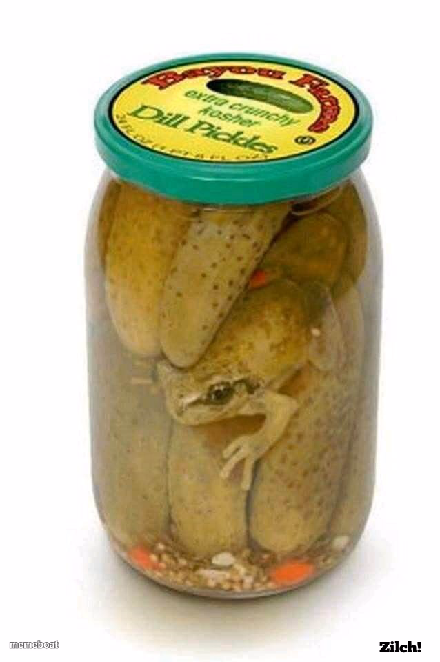 Pickled Frog - meme generator image preview