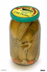 Pickled Frog
