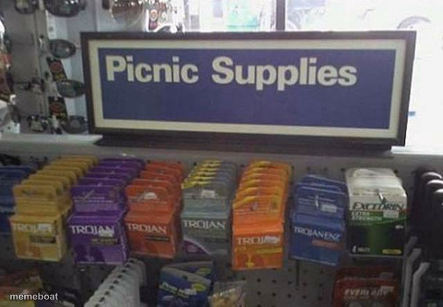 Picnic Supplies - meme generator image preview