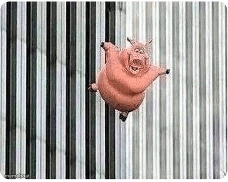 Pig jumping off - meme generator image preview