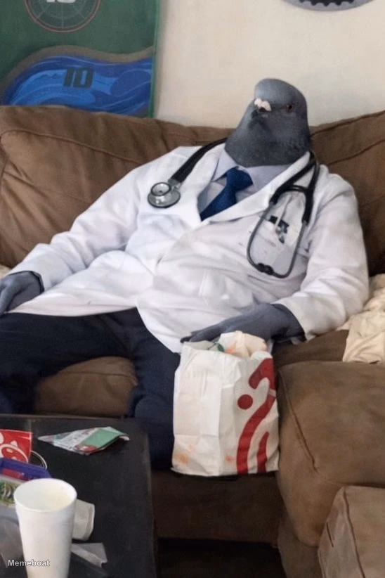 Pigeon Doctor Sitting on a Couch - meme generator image preview