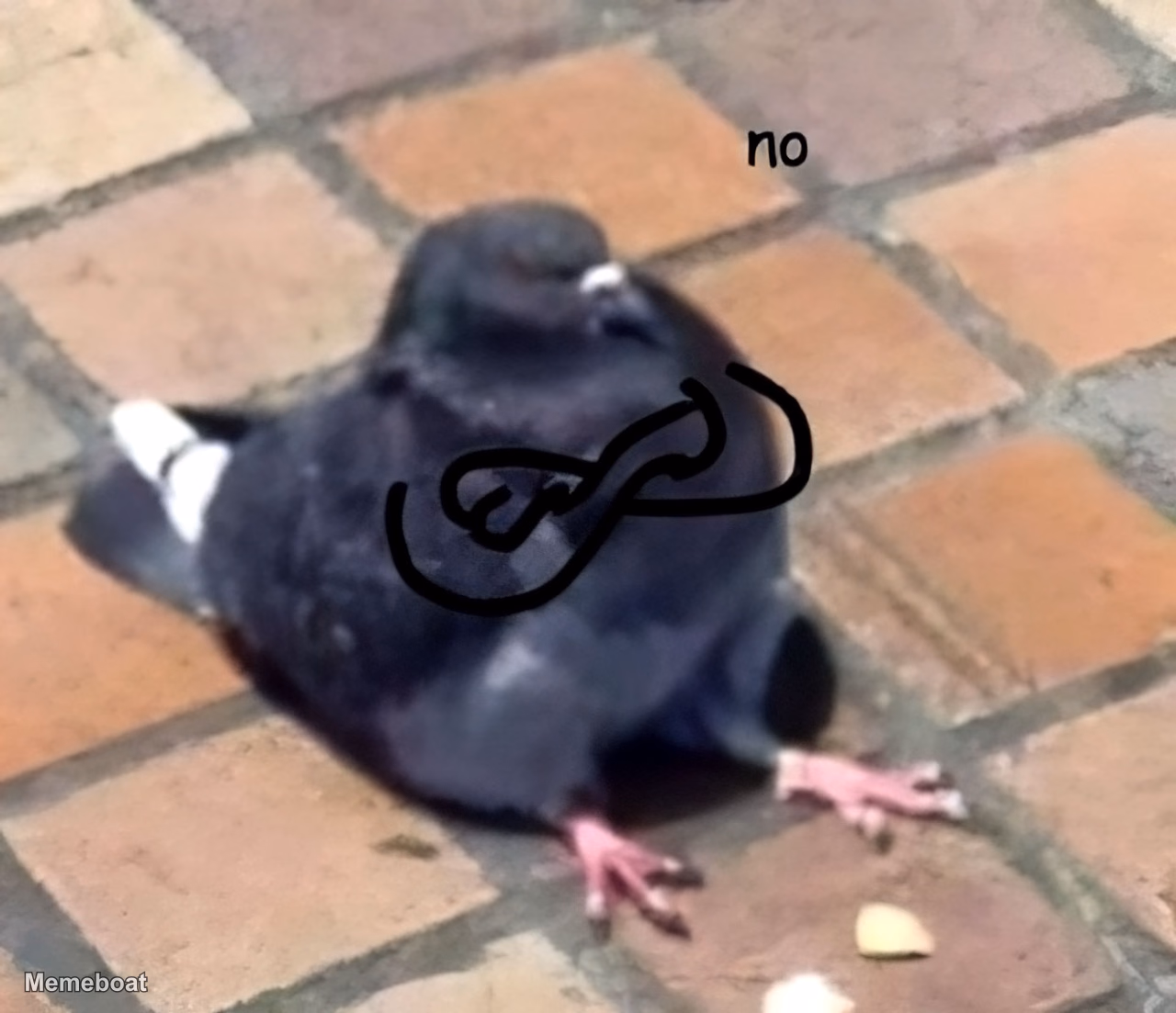 Pigeon No - meme generator image preview