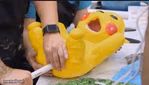 Pikachu food network