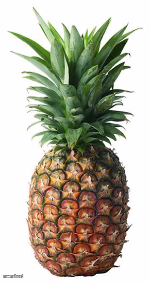 pineapple - meme generator image preview